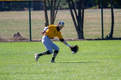 Outfield